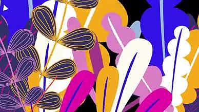 3组彩色花卉植物生长转场视频的预览图